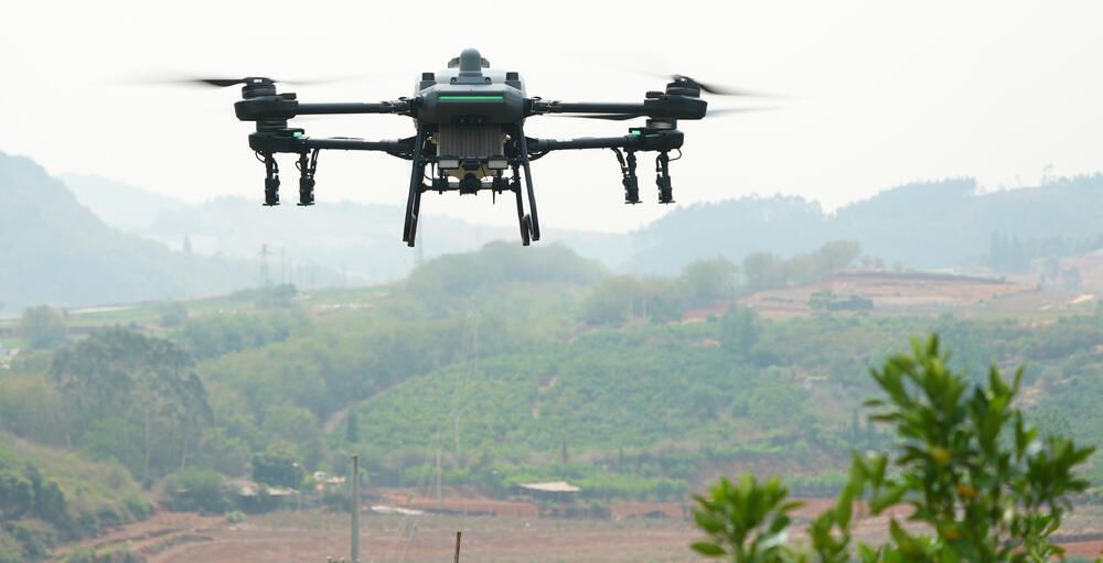 Drone flying above hilly farmland with a young tree in the foreground