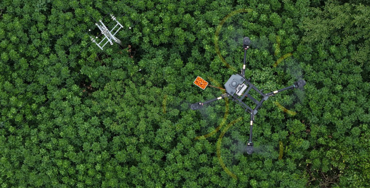 A crate of oranges hanging on a line from an agricultural drone, seen from above dense green crops